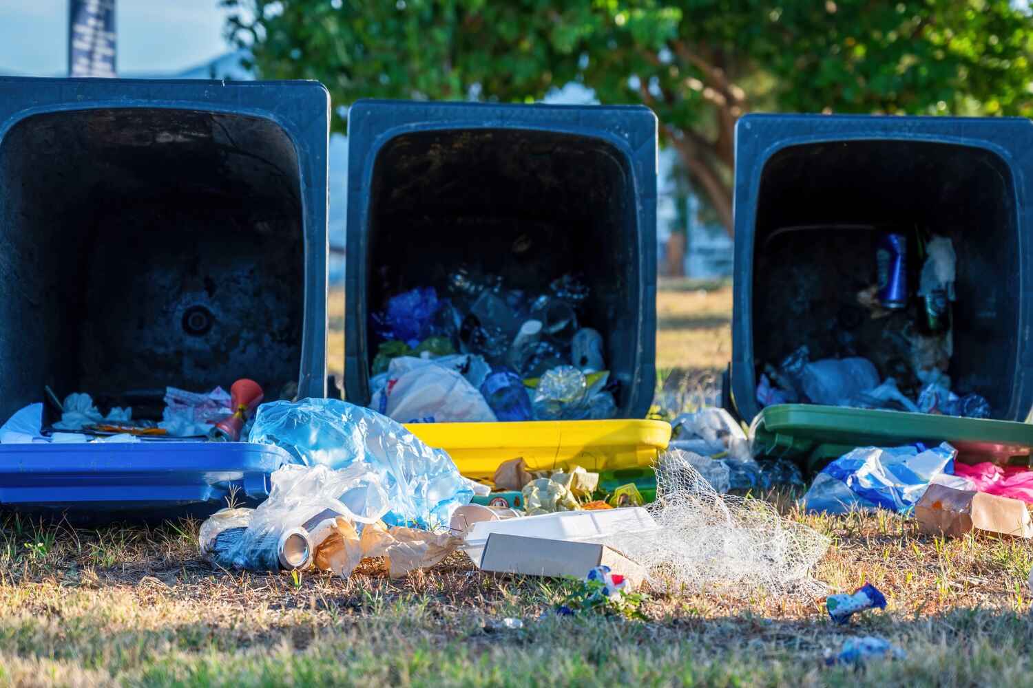 Household Junk Removal in Gonzales, LA